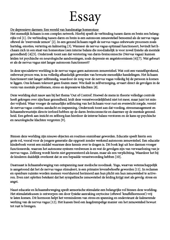 Essay — inhoudelijke onderbouwing van de worlding